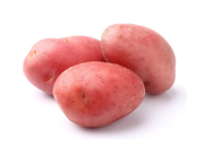 Potato Red (Pakistan)